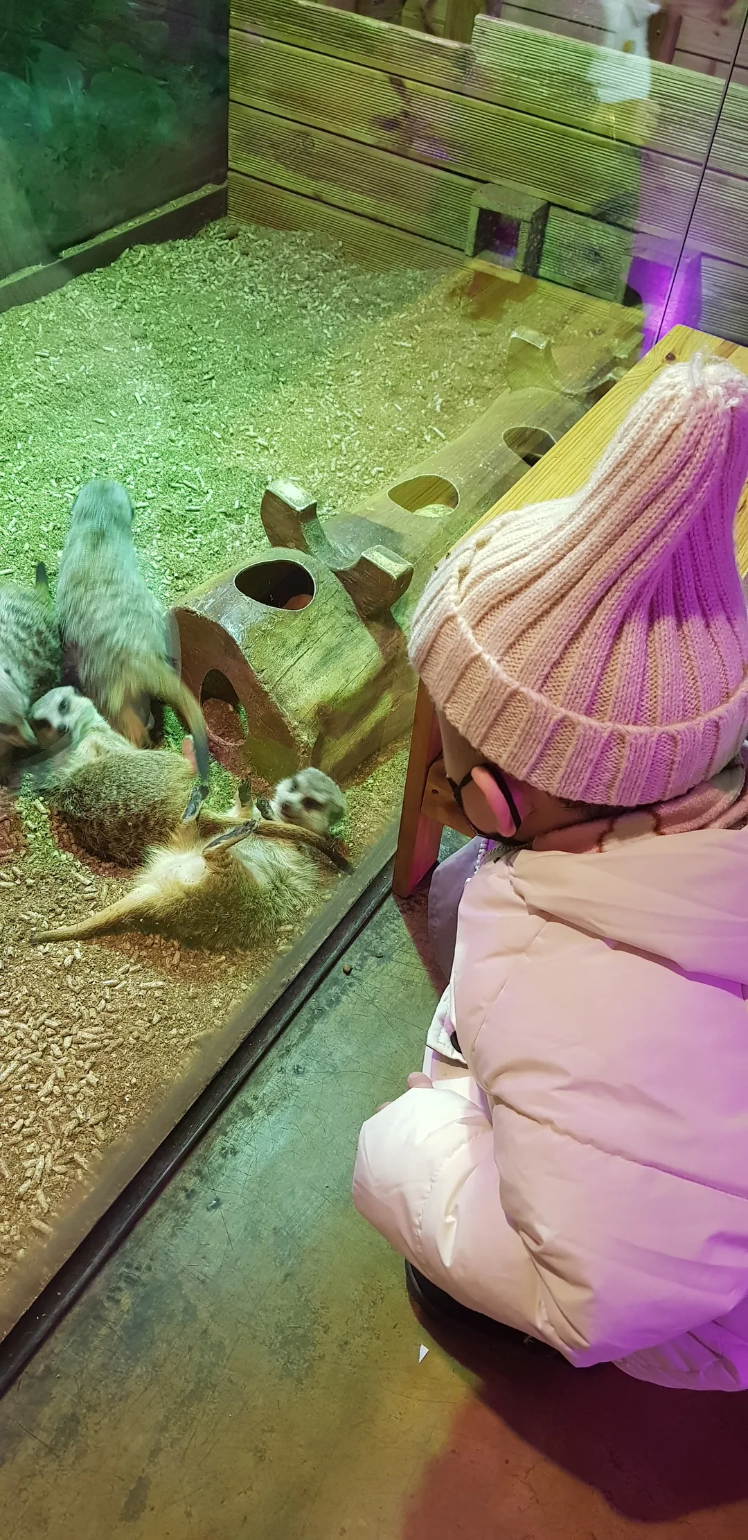 주렁주렁 경주점