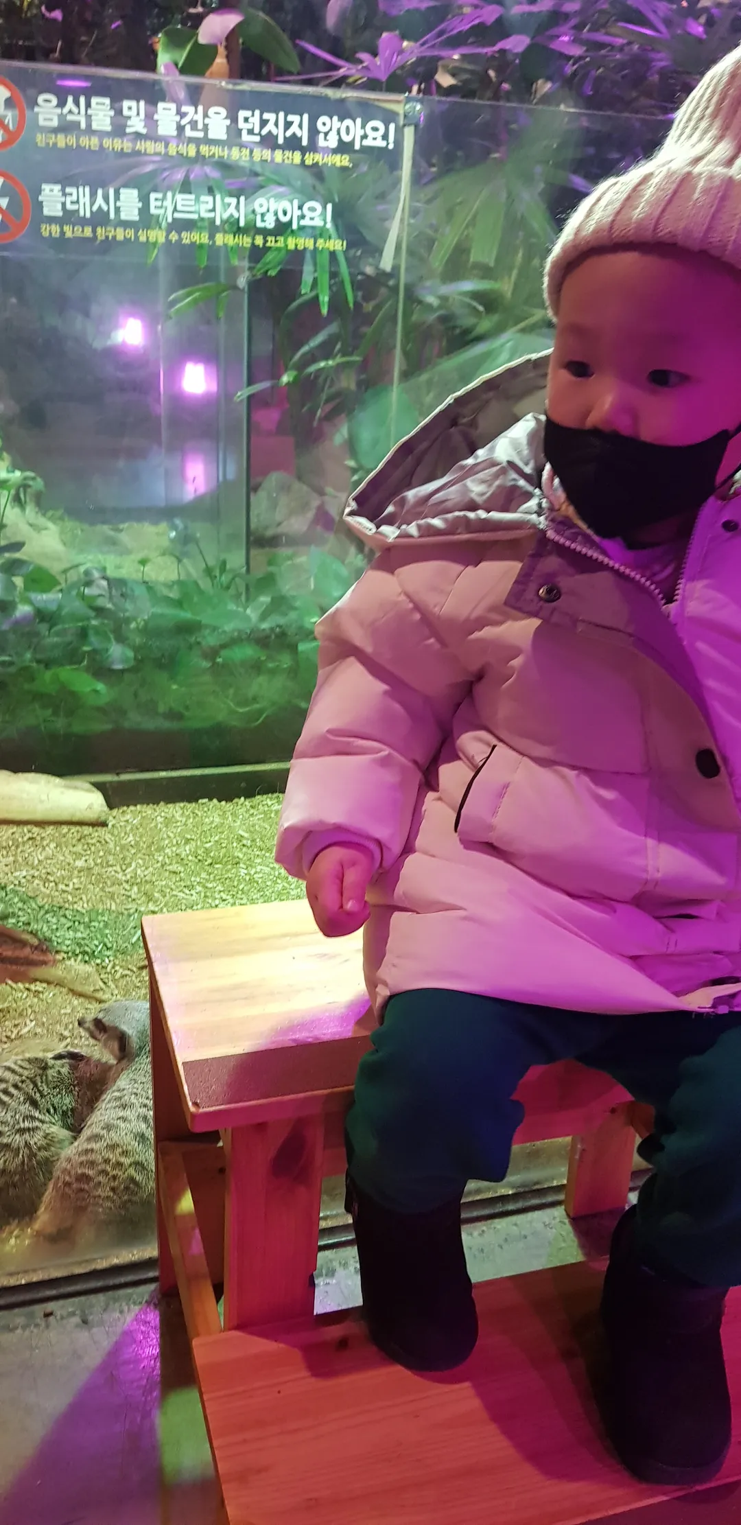 주렁주렁 경주점 사진 10
