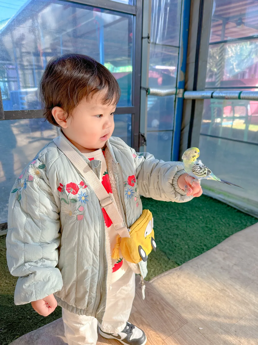 앵무야앵무야