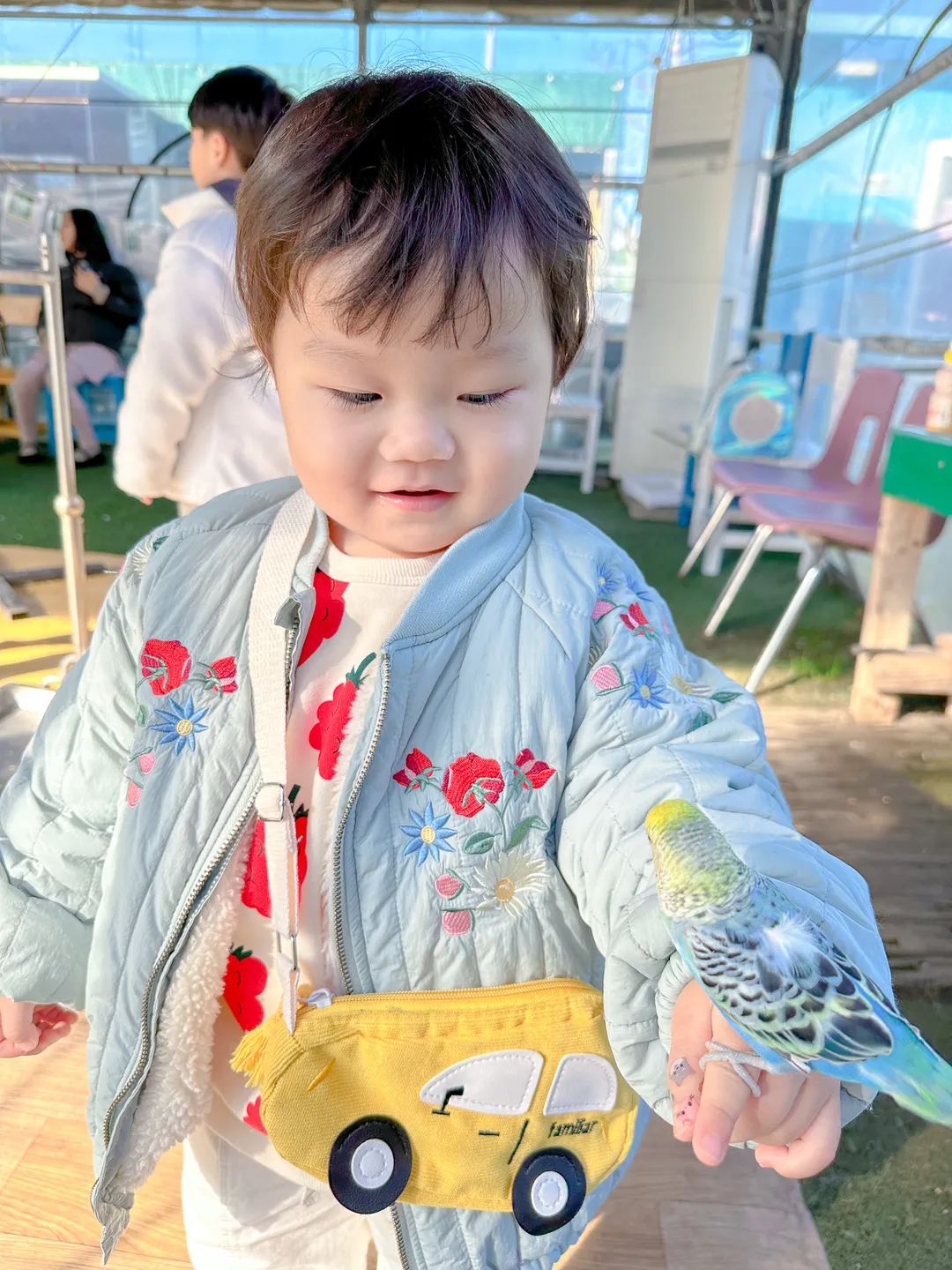 앵무야앵무야 사진 14