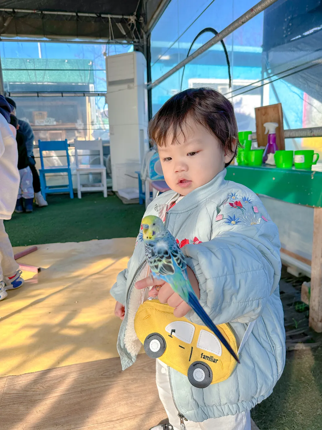 앵무야앵무야 사진 9