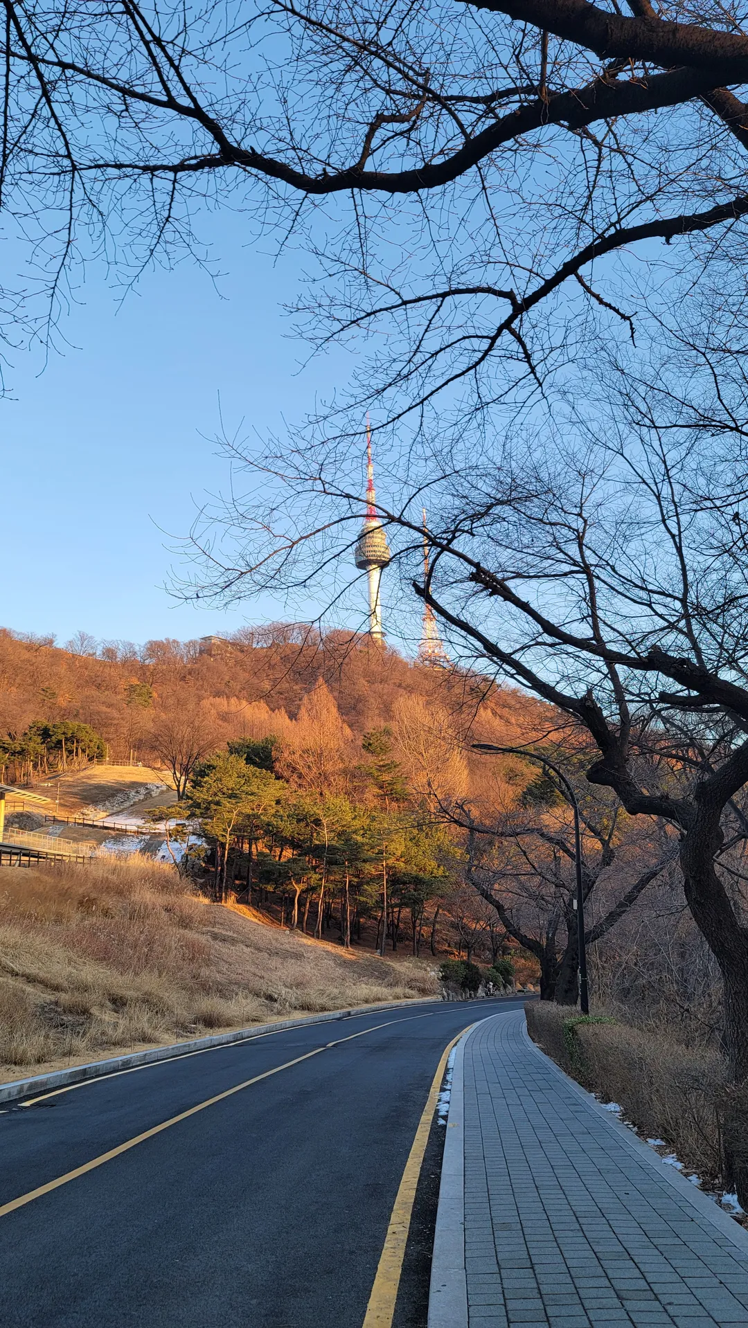 ソウル特別市教育庁融合科学教育院 南山分院 探究学習館 写真 19