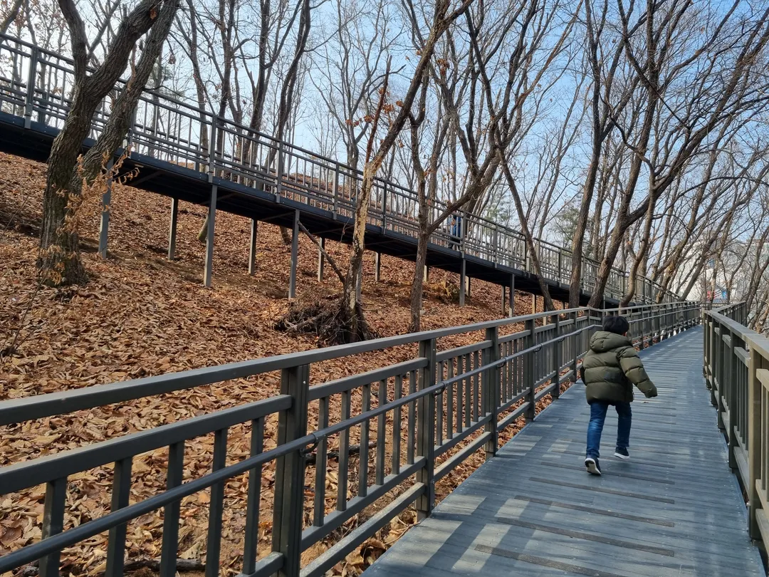 하늘물 유아숲체험원