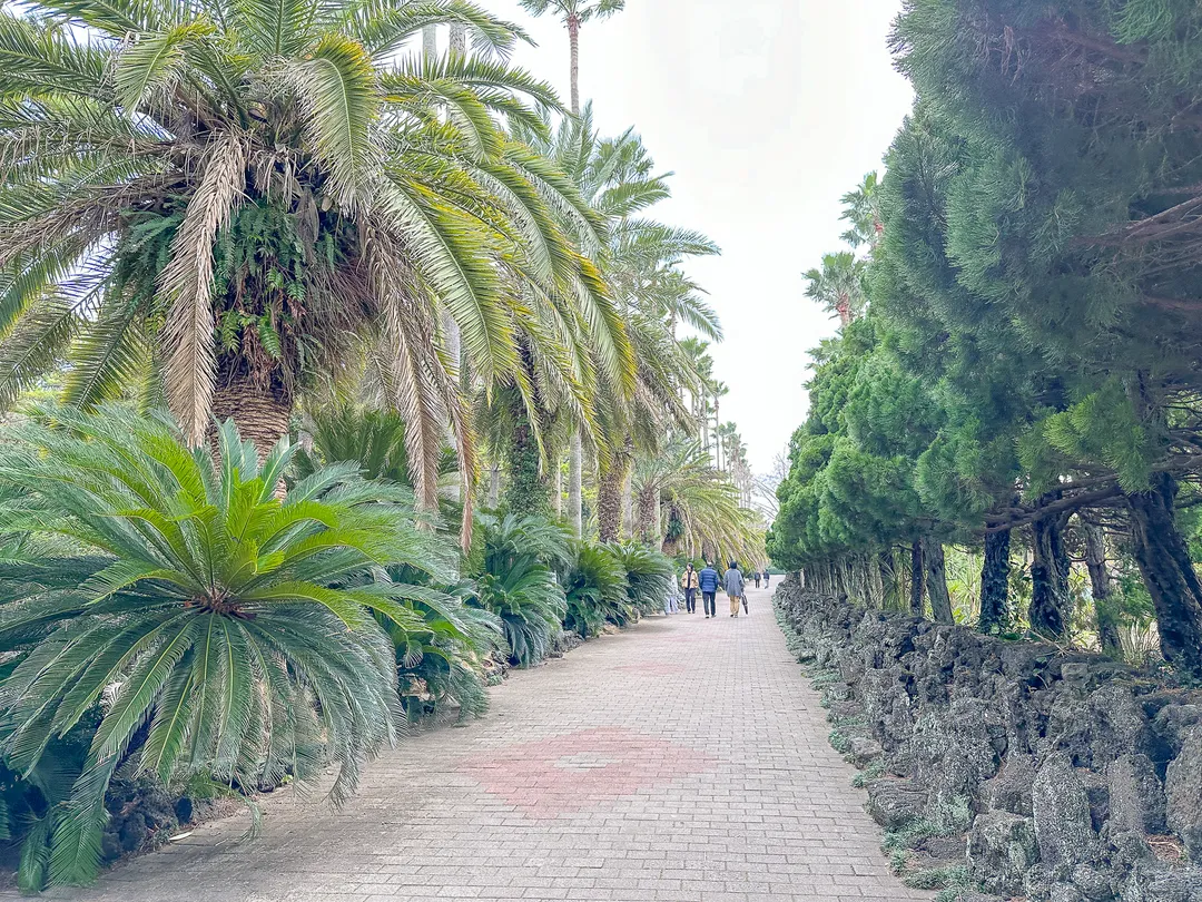 한림공원