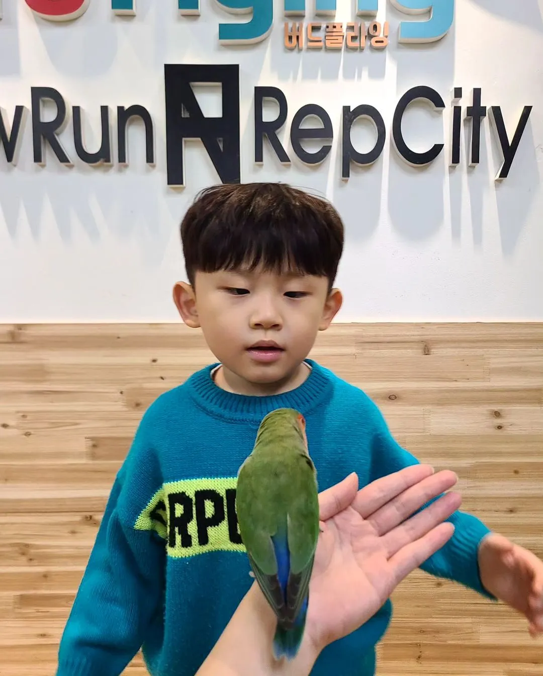 Bird Flying & Newrun Reptile City photo 7