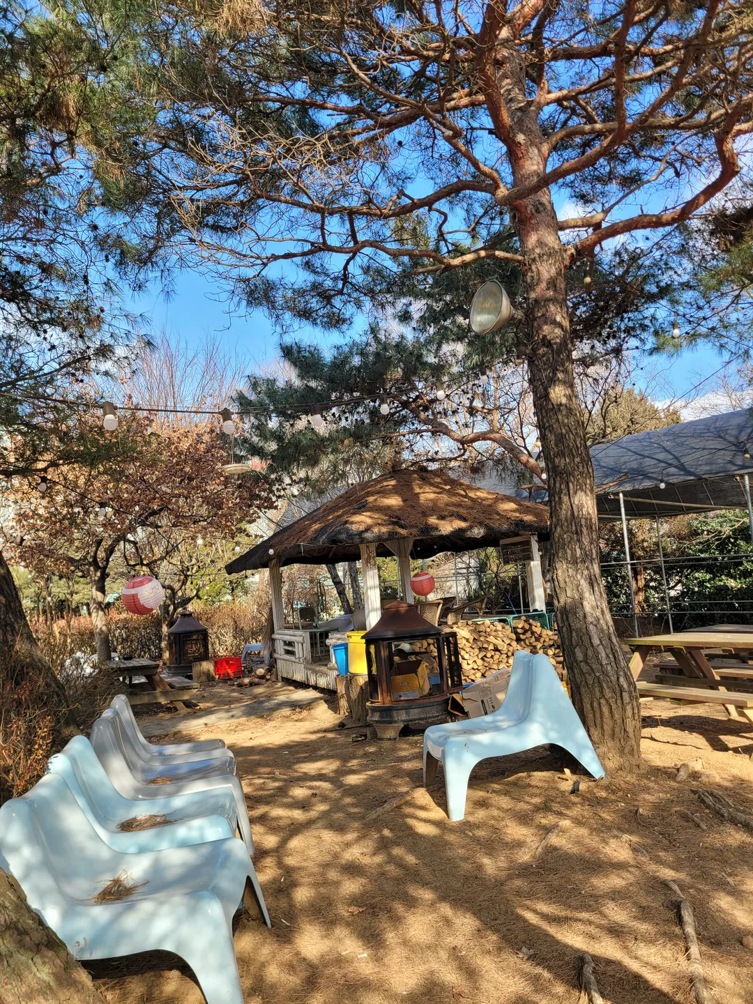 계수가든