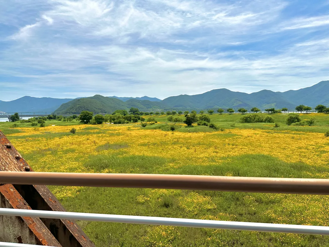 Gimhae Nakdong River Rail Park photo 7