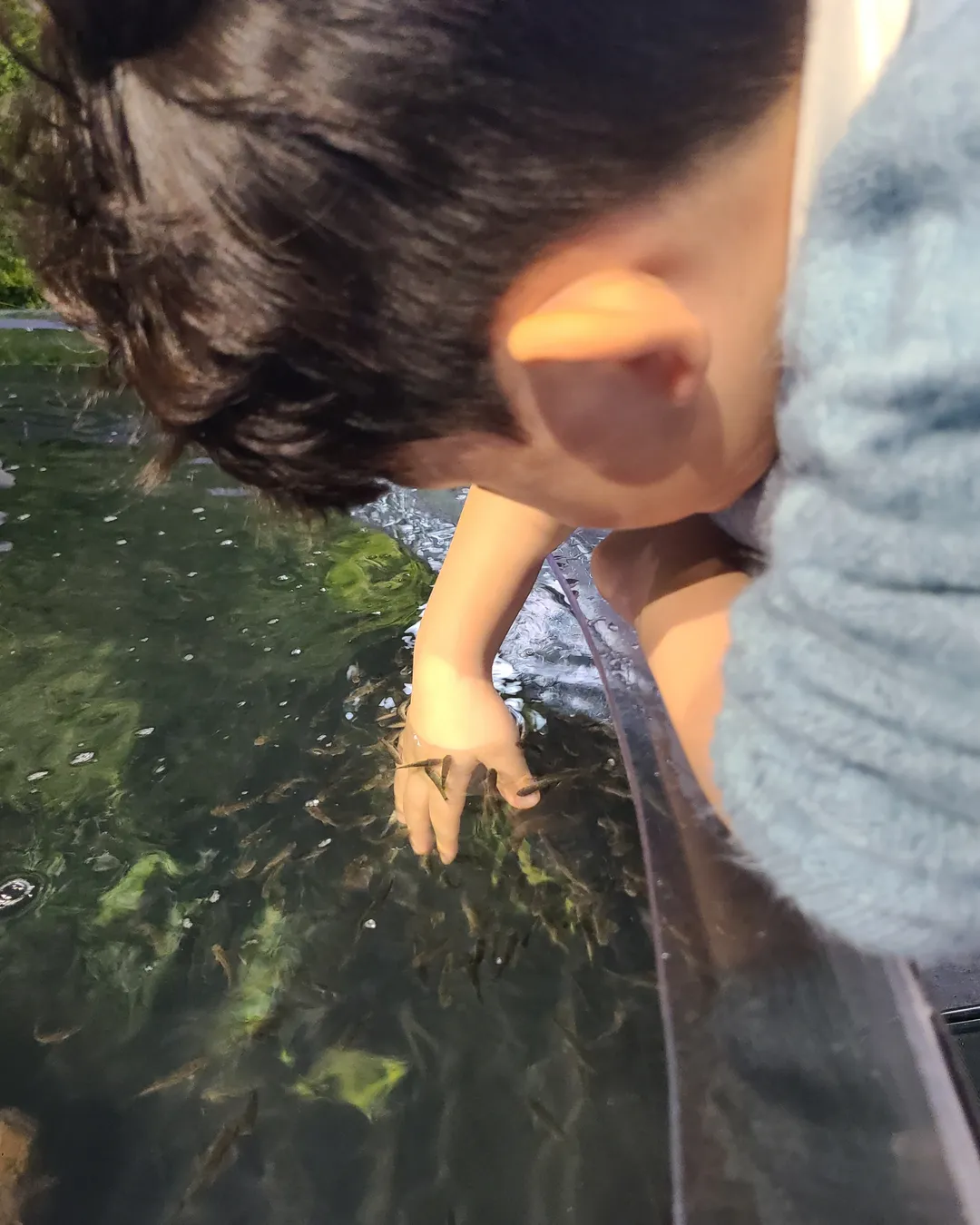 수풀림 아쿠아카페 구리갈매점 사진 17