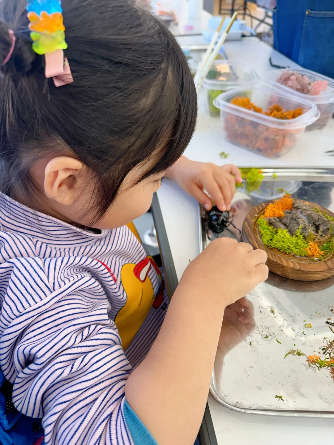 Deokcheon Insect Farming Association photo 9