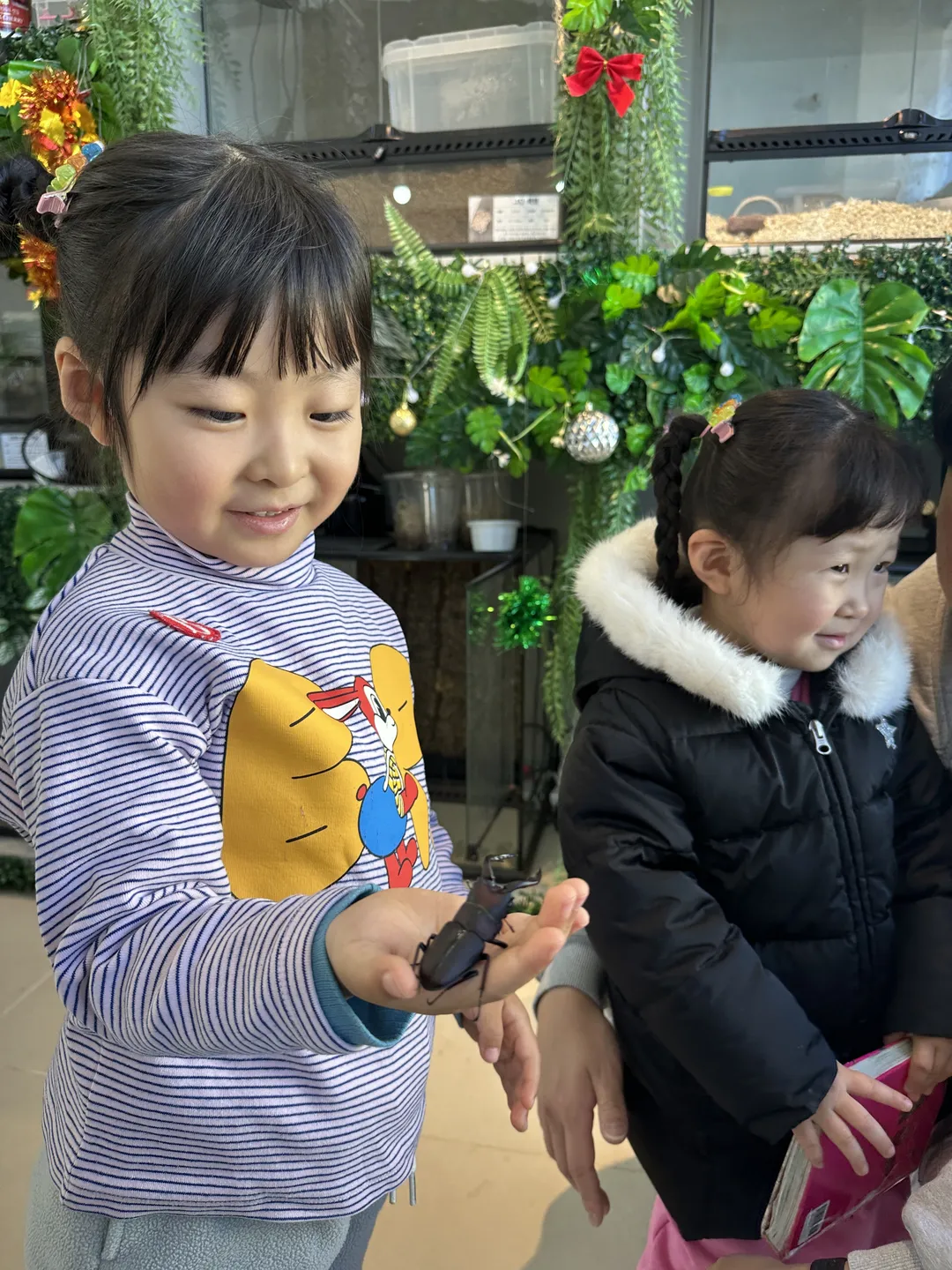 Deokcheon Insect Farming Association photo 11