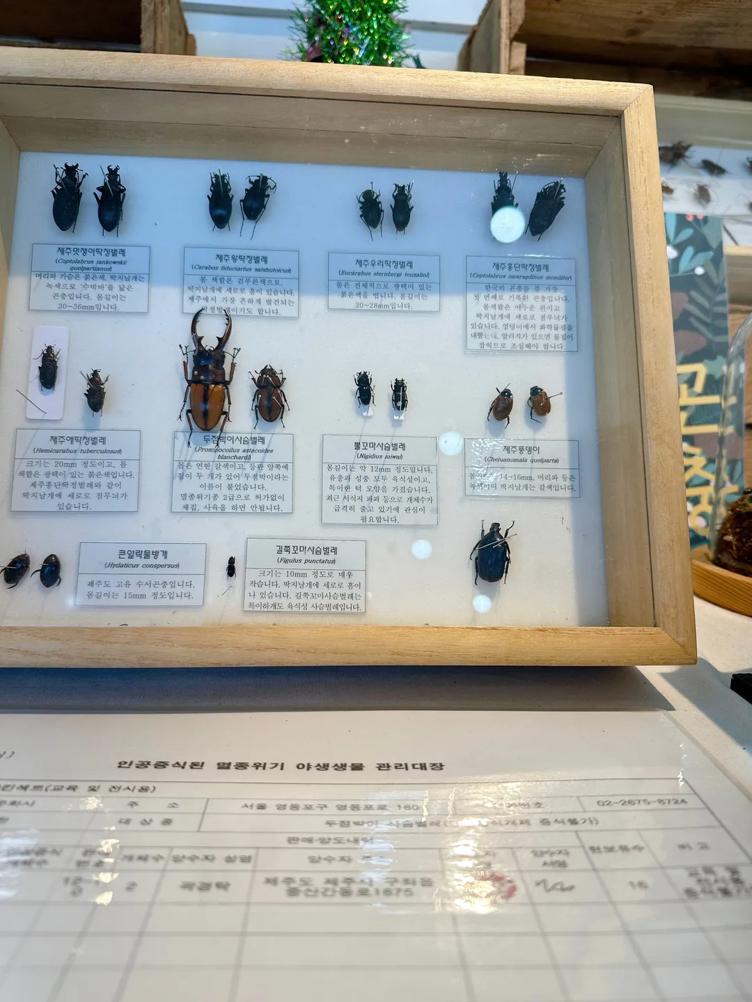 Deokcheon Insect Farming Association photo 15