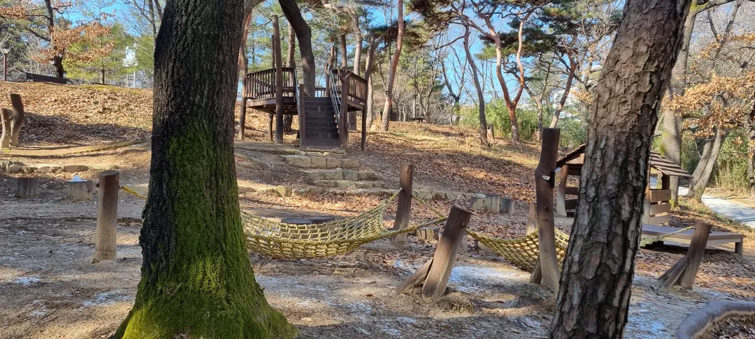 은구비 유아숲체험원