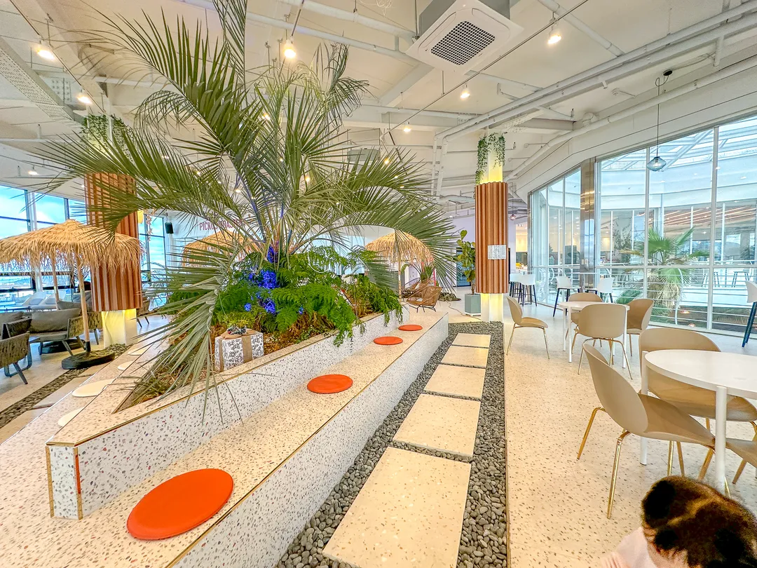 Pickus Jeju photo 22