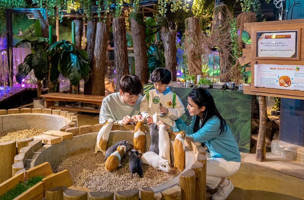 주렁주렁 경주점 사진 12