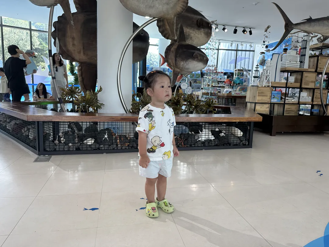 제주해양동물박물관 사진 7