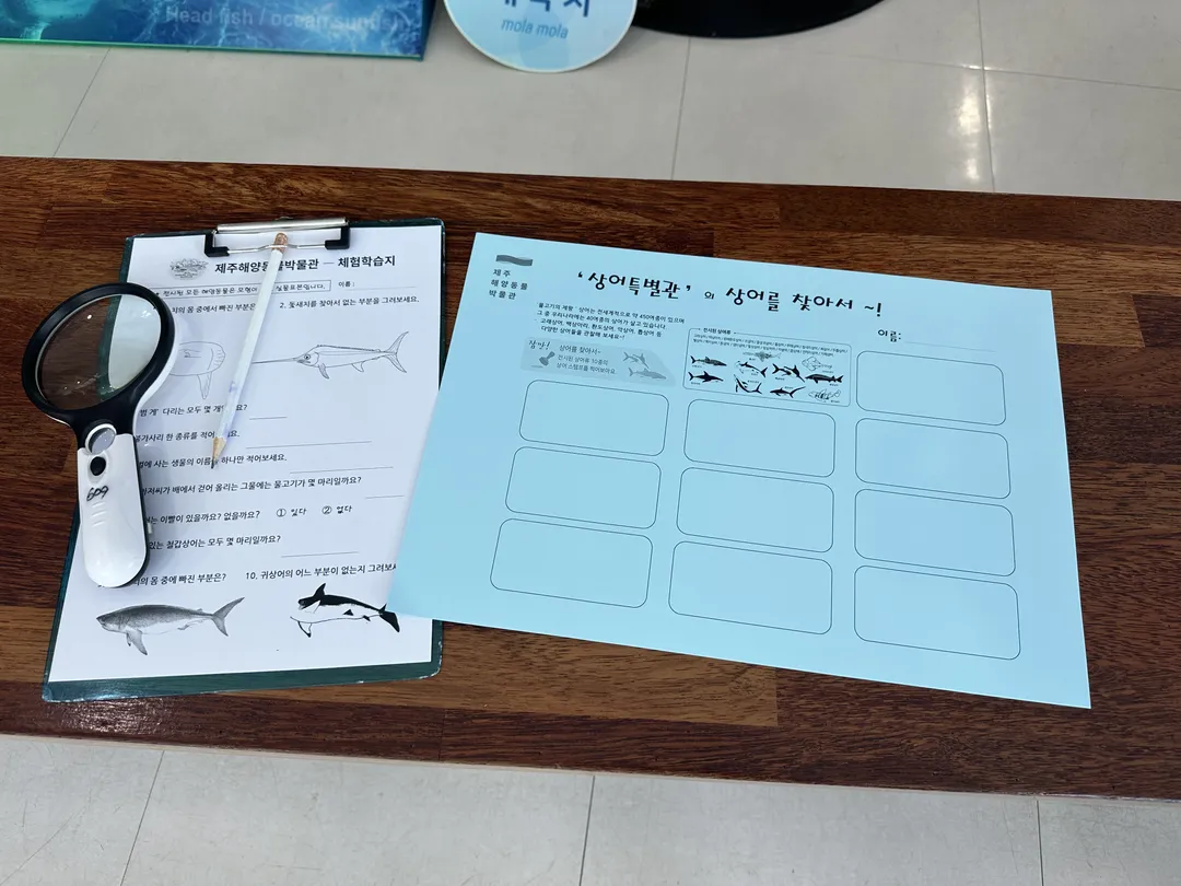 제주해양동물박물관 사진 16