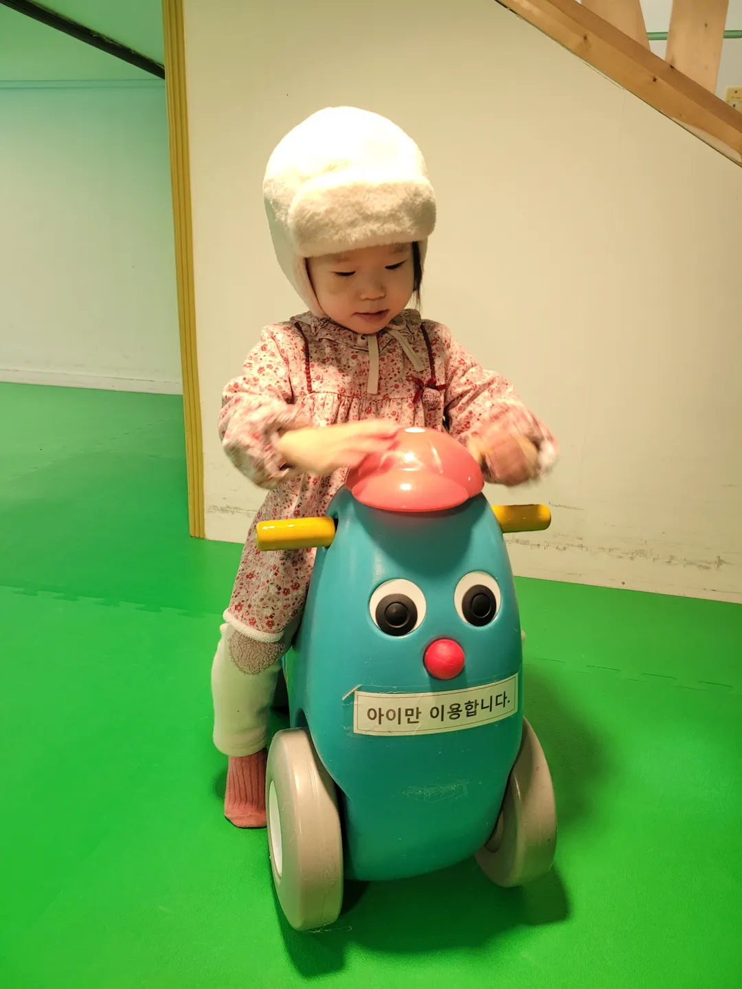 예술아노올자 사진 9