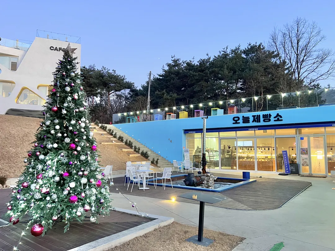 오늘제빵소&카포레