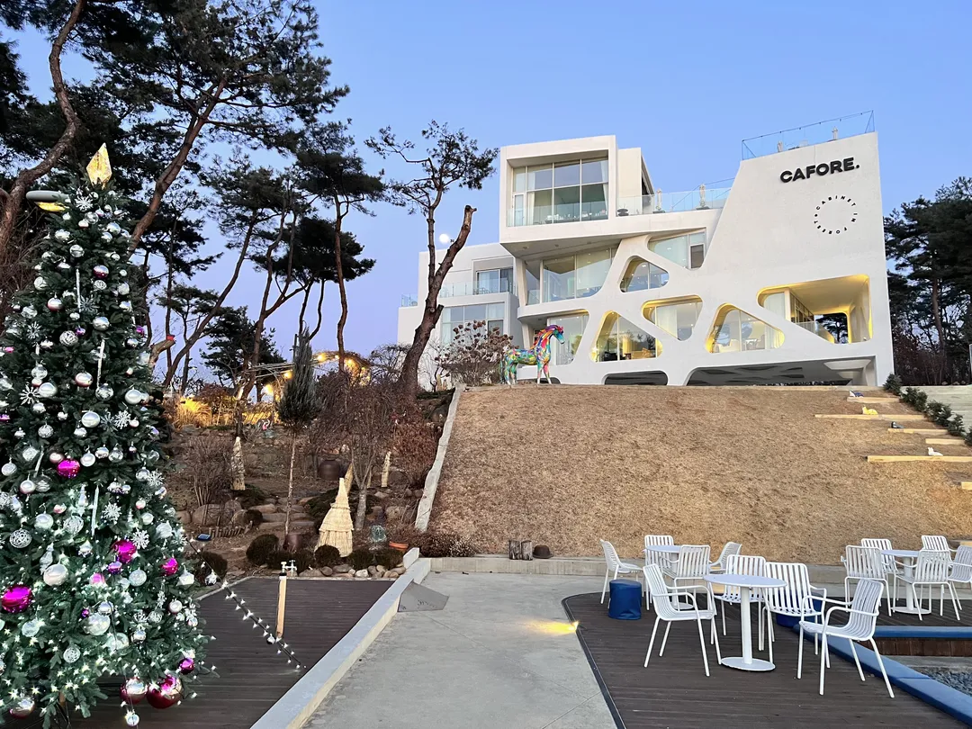 오늘제빵소&카포레