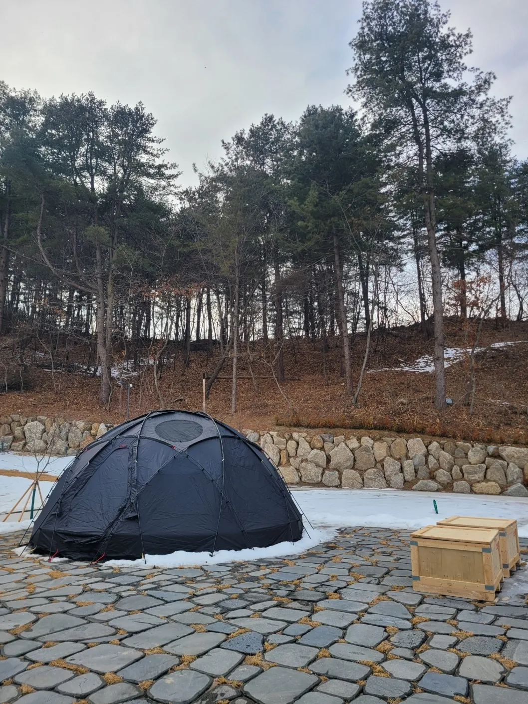 와글숲 사진 6