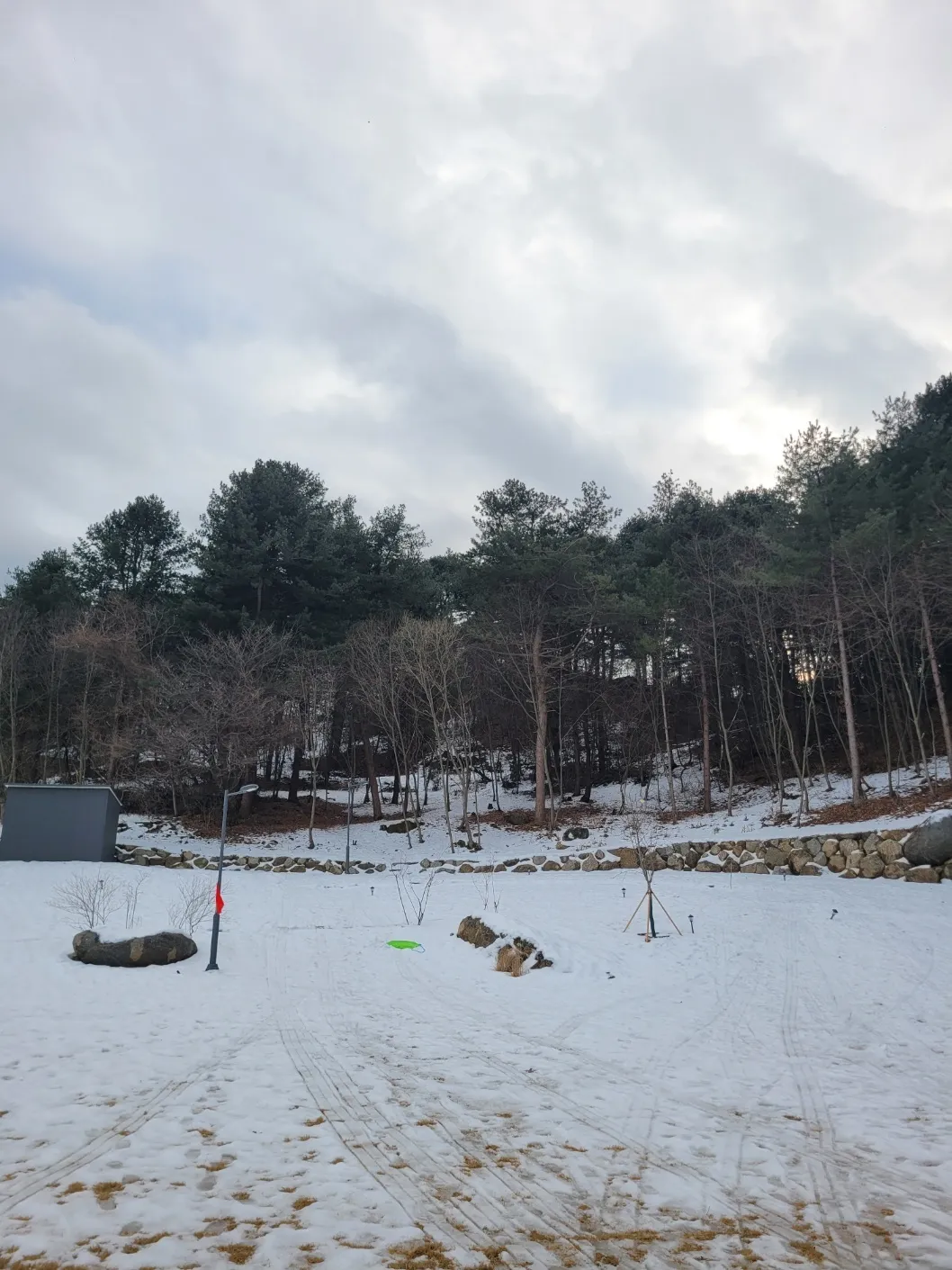 와글숲 사진 14