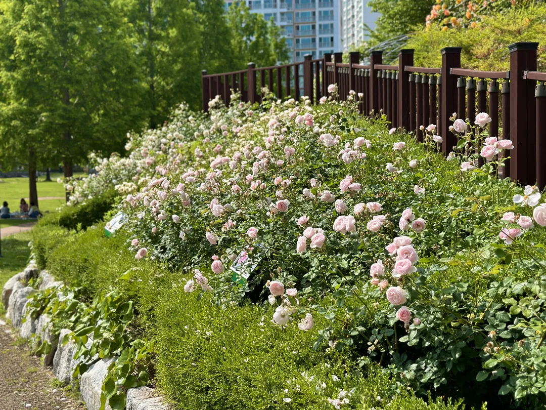 Gumokjeong Park photo 14