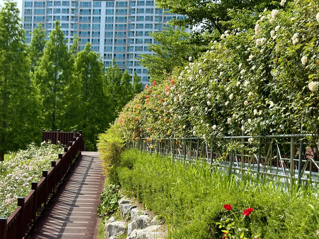 Gumokjeong Park photo 10