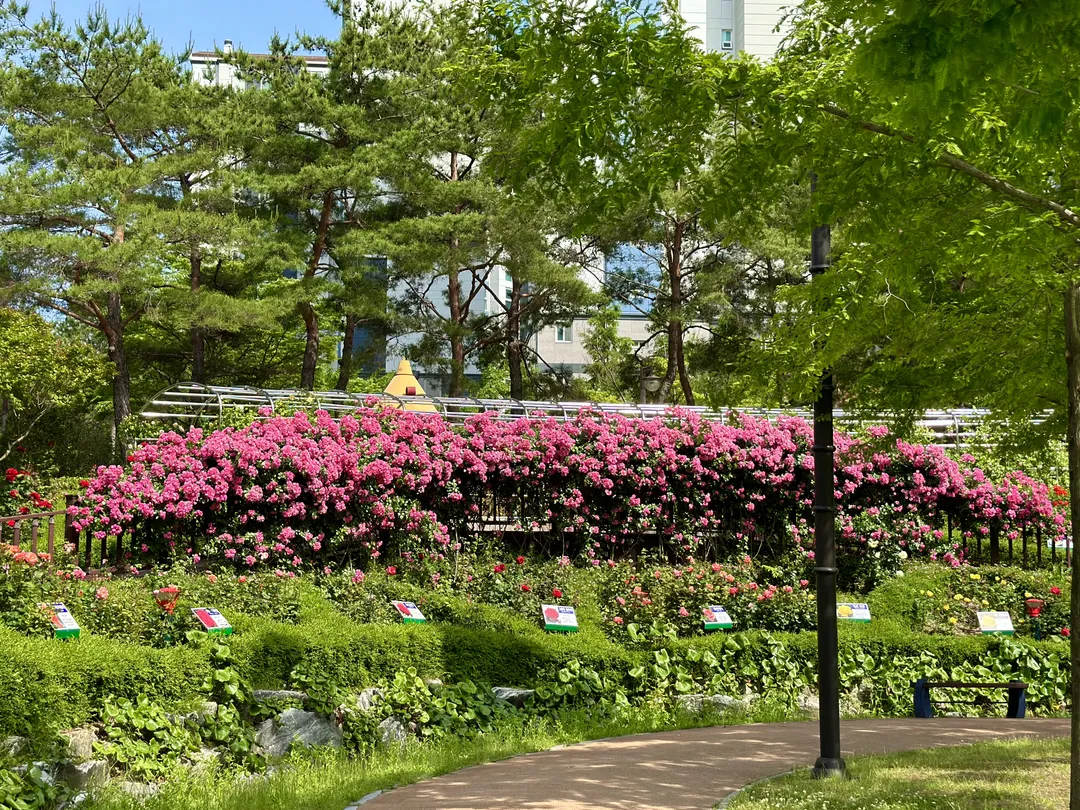 Gumokjeong Park photo 15