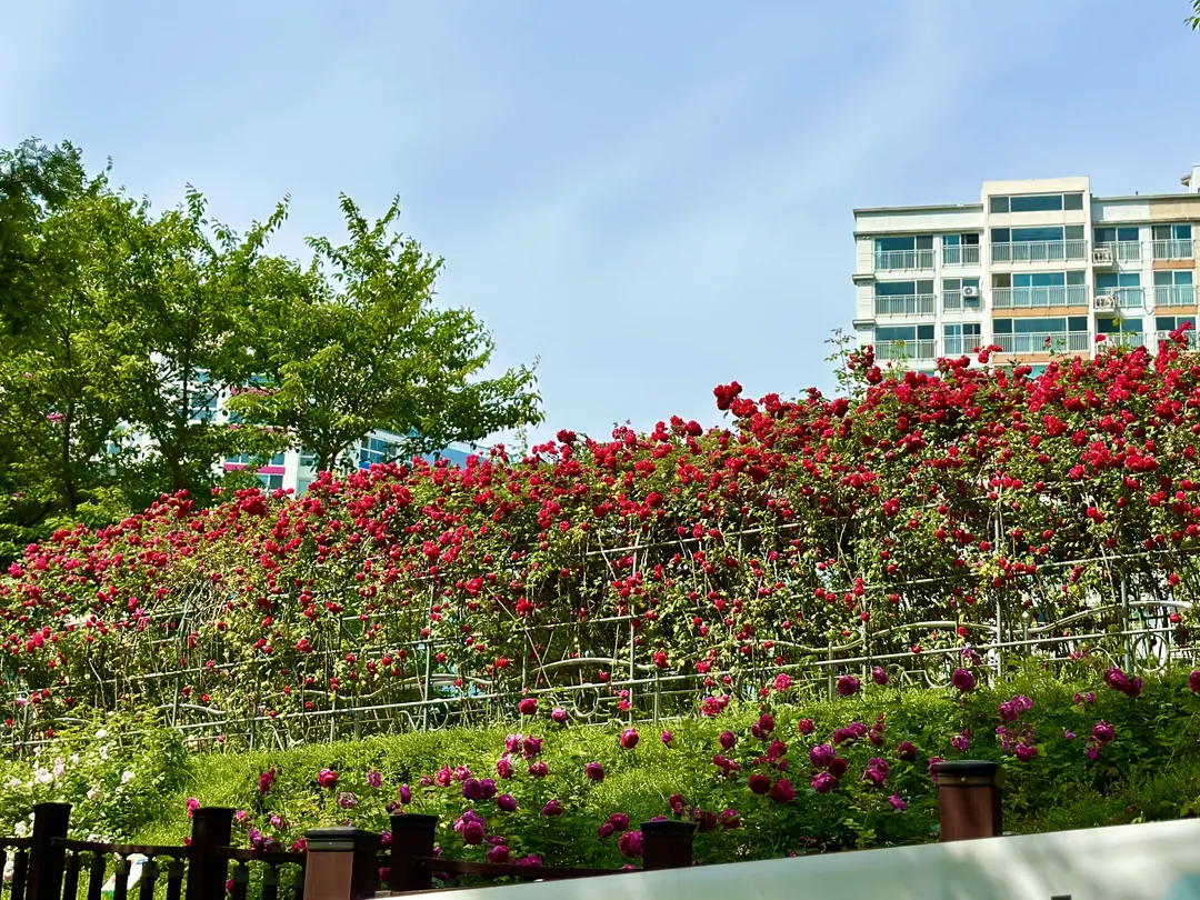 Gumokjeong Park photo 13