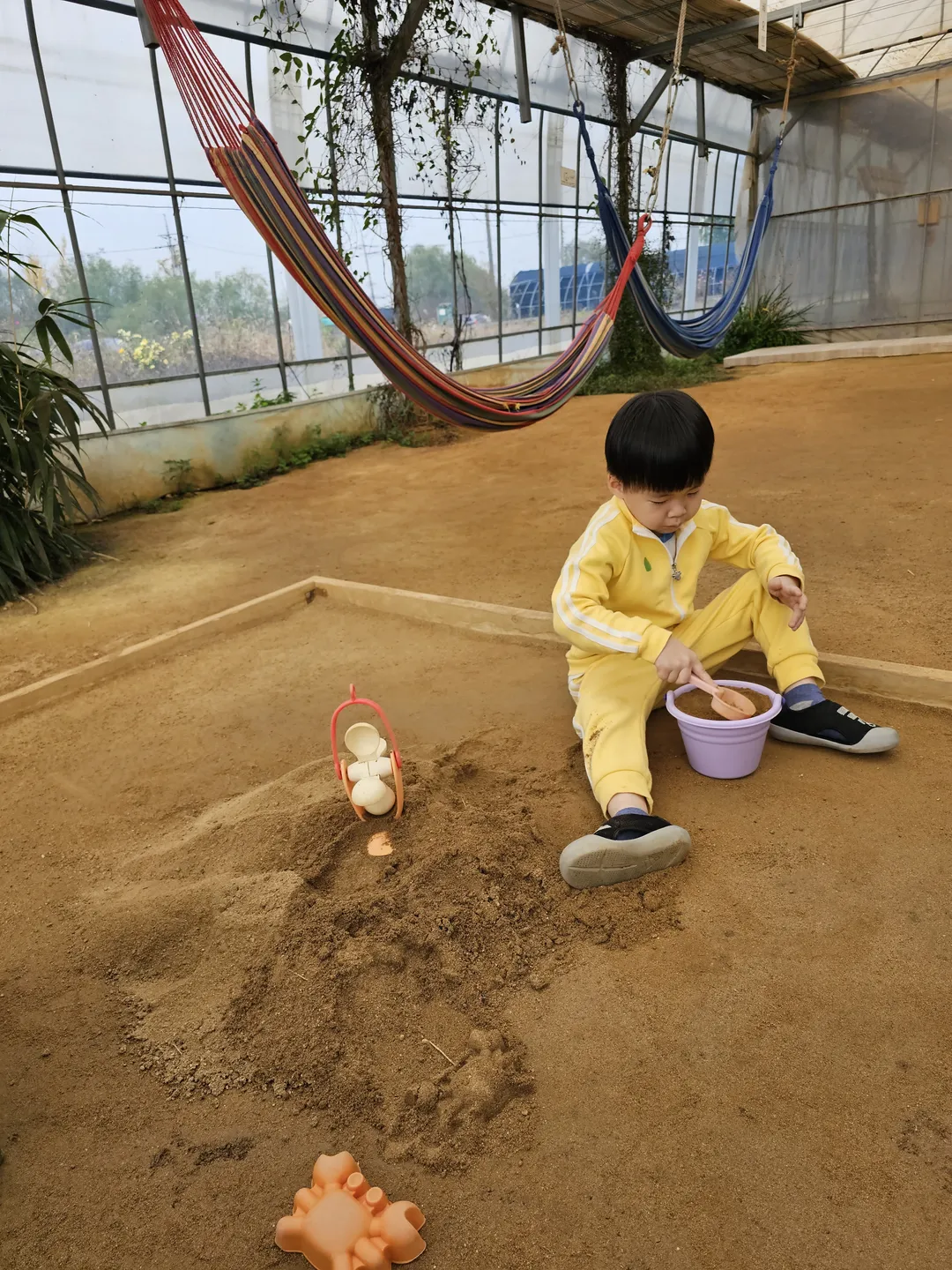 プチョン ナヌム農場 写真 6