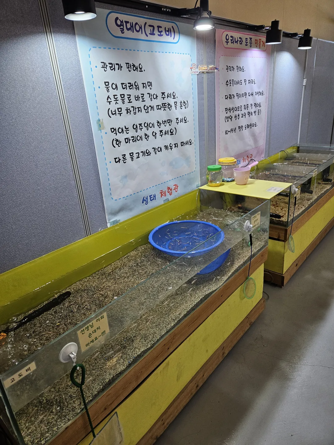 다솜생태관 사진 8