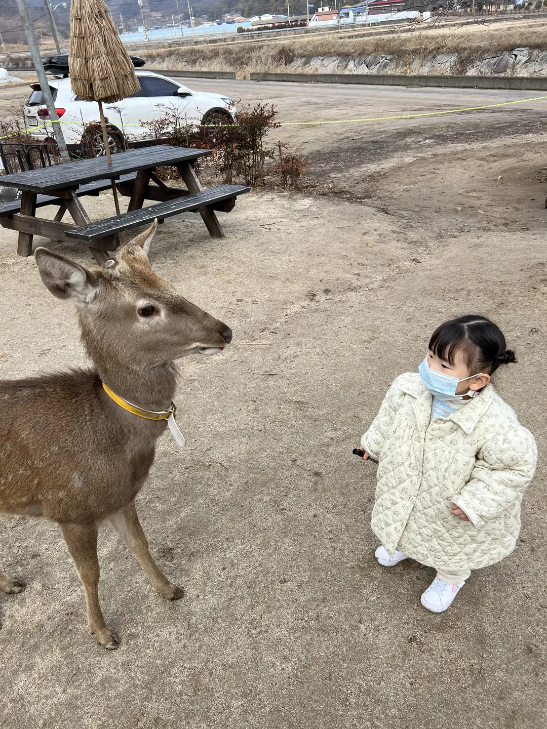 アニマルフレンズ 写真 7