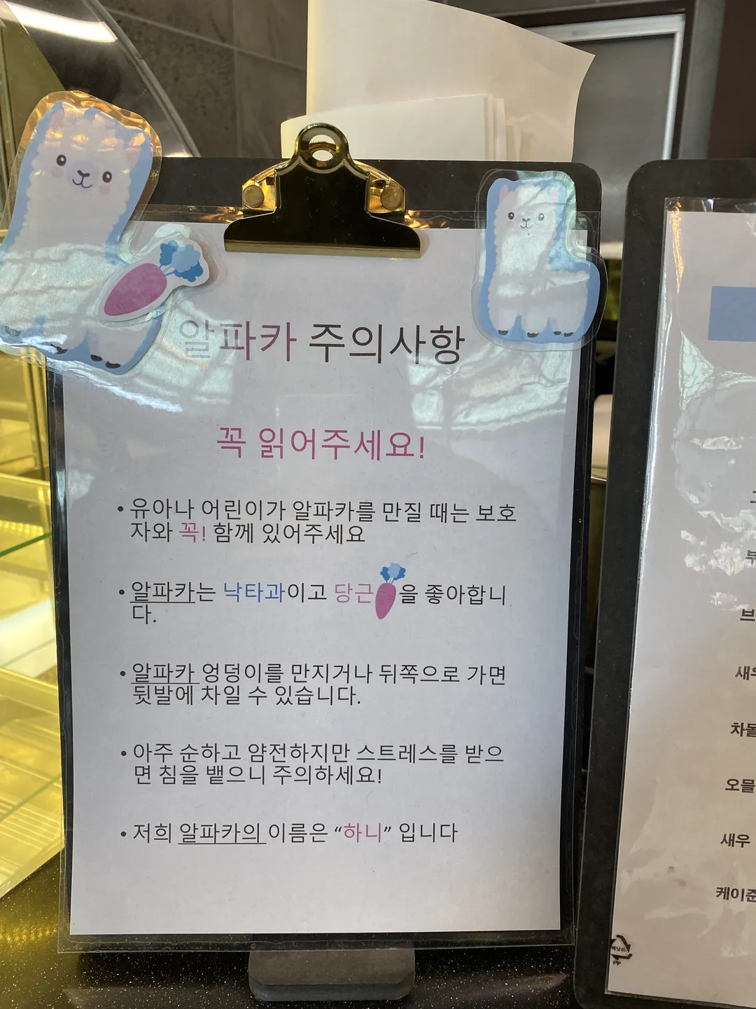 브런치달랏 사진 15