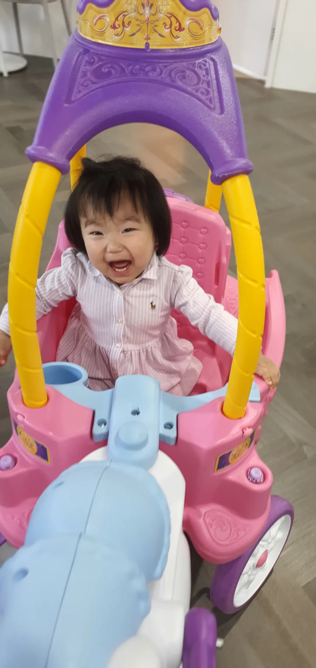 밤비플린 사진 12