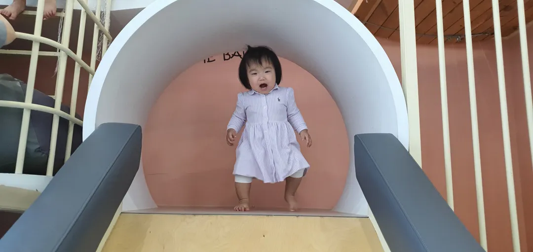 밤비플린 사진 8