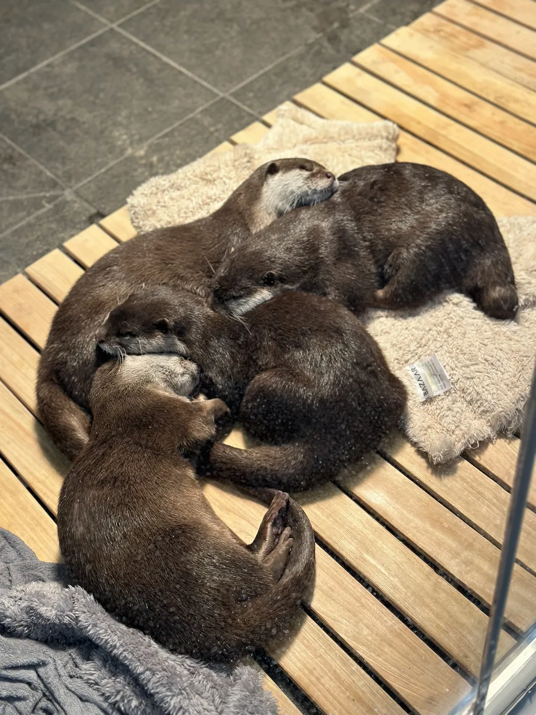 신비동물원 가평점 사진 7