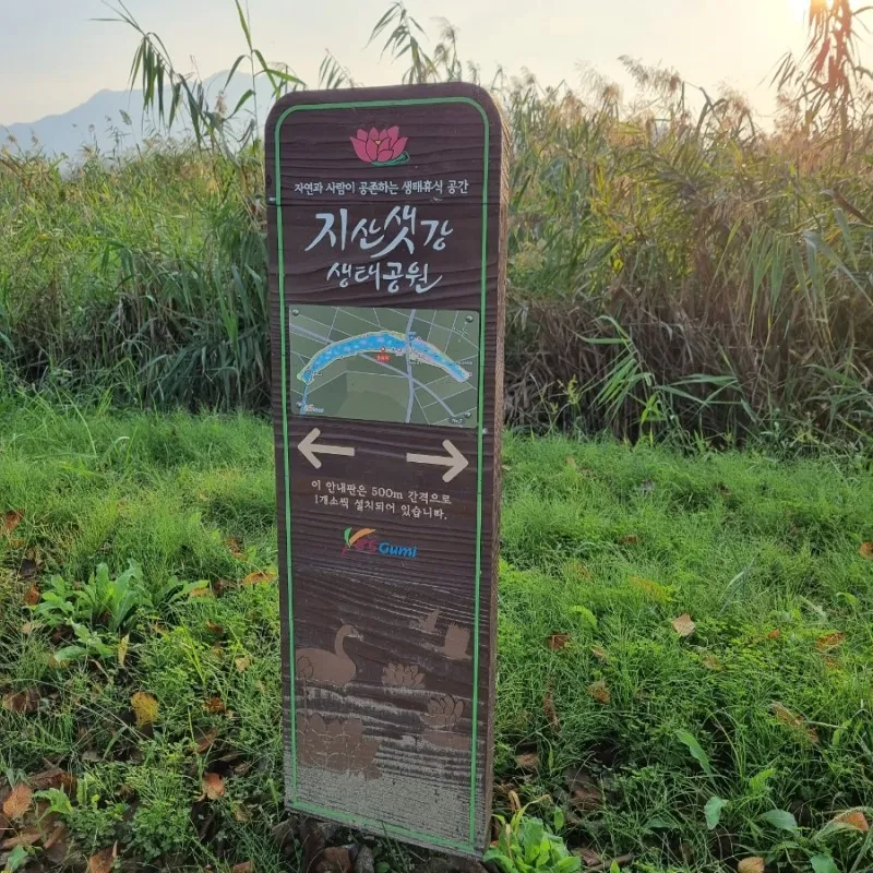 Fish World photo 21