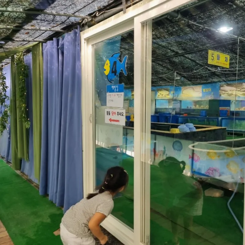 Fish World photo 8