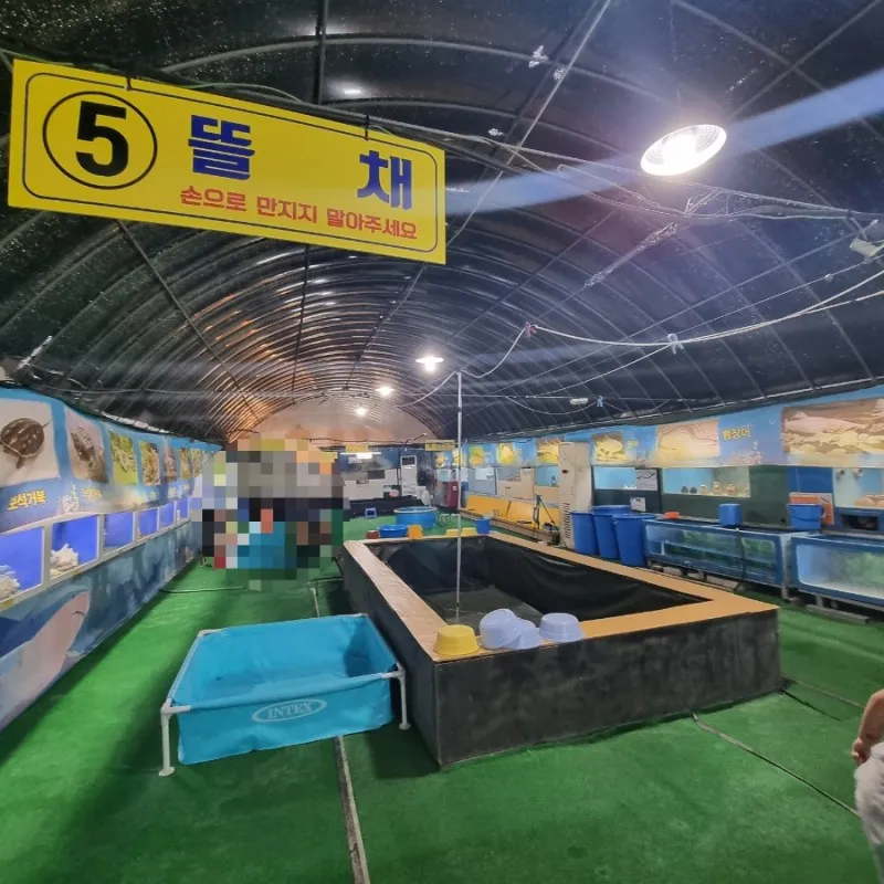 Fish World photo 9