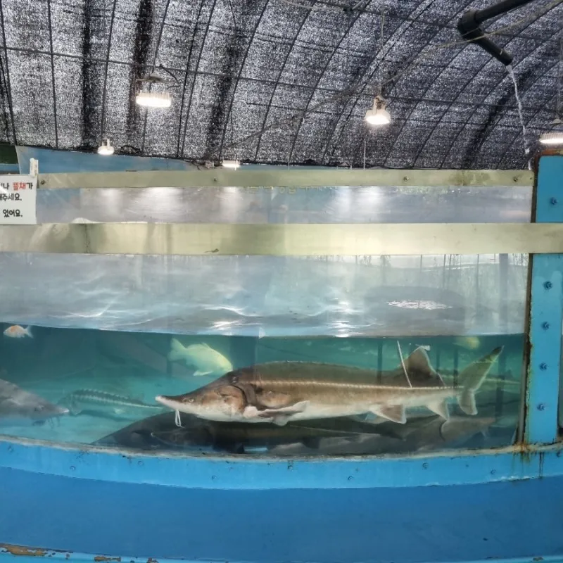 Fish World photo 7