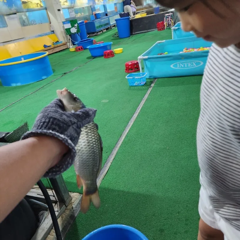Fish World photo 11