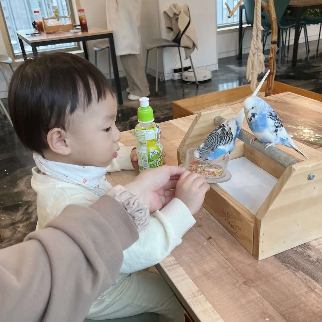 리프패럿 평택점 사진 10