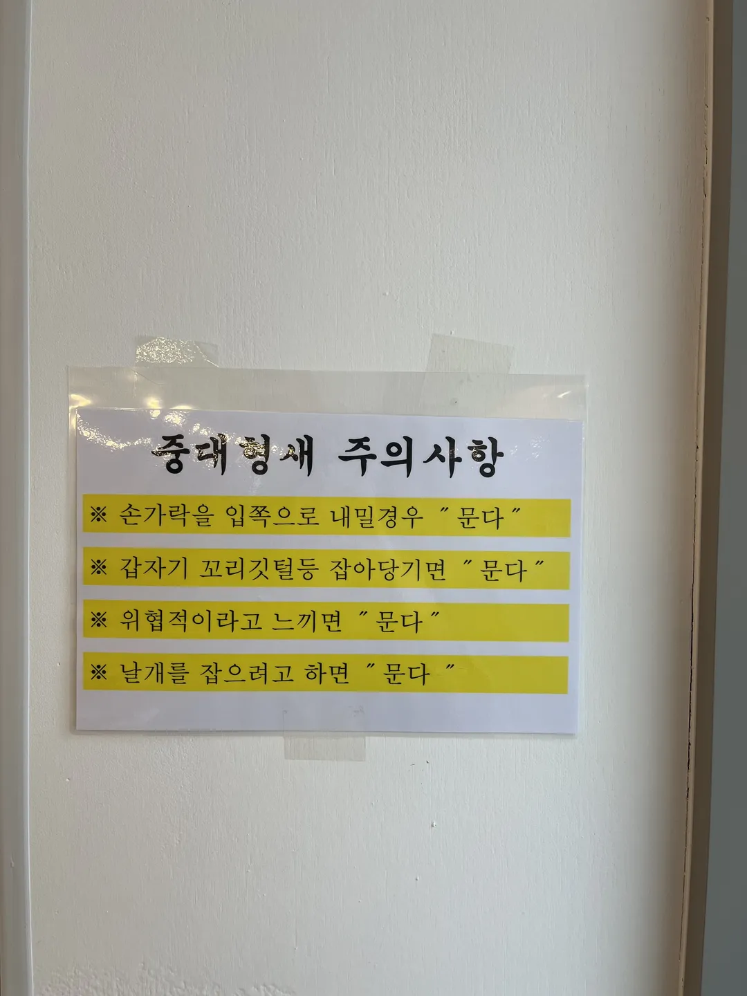 리프패럿 평택점 사진 7