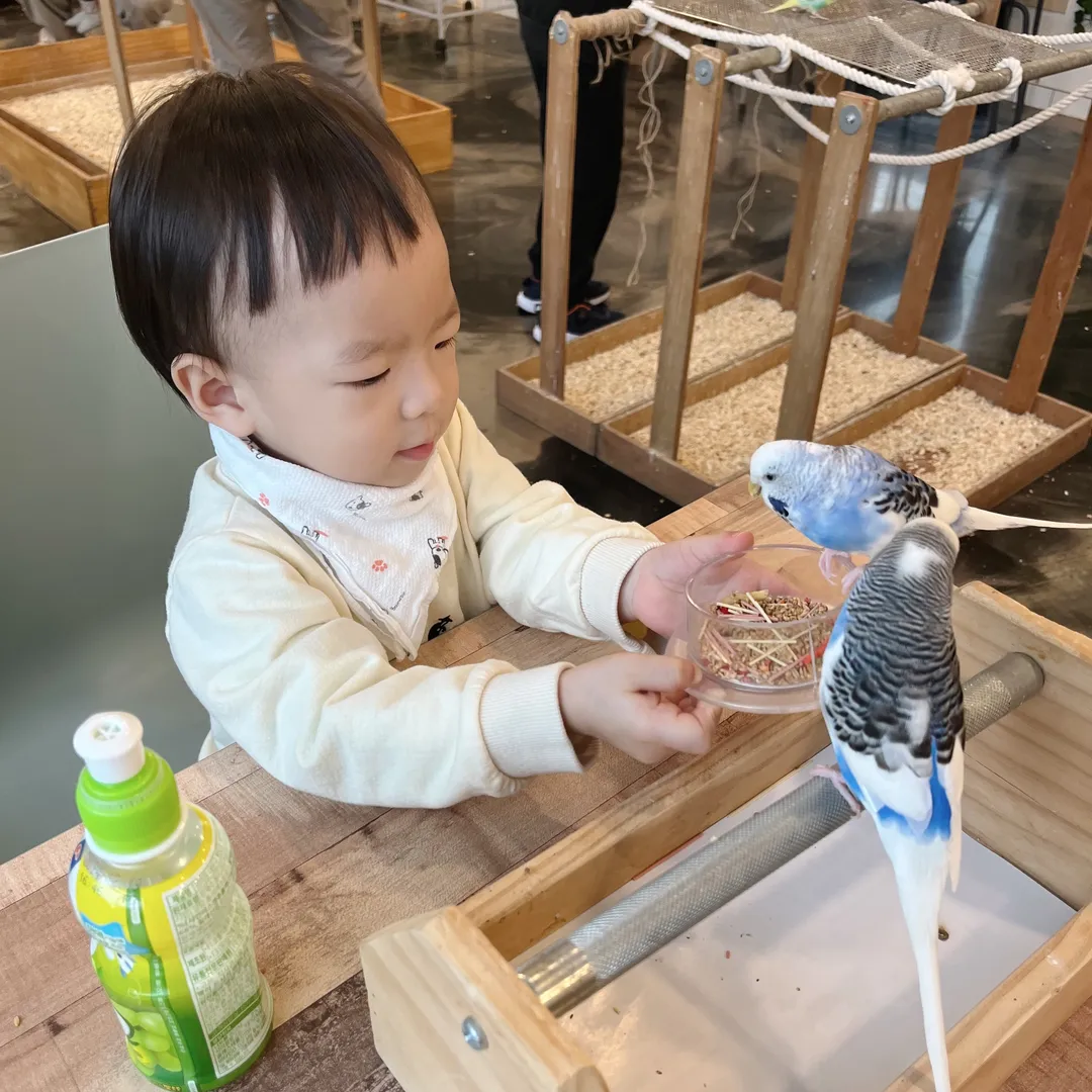 리프패럿 평택점 사진 13