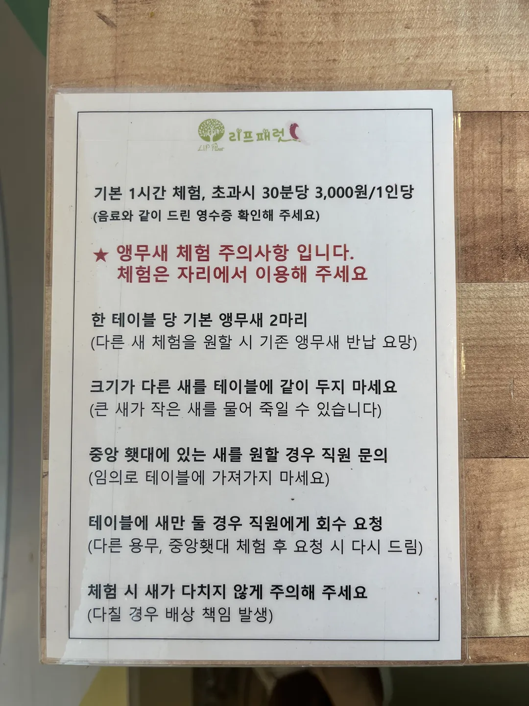 리프패럿 평택점 사진 8
