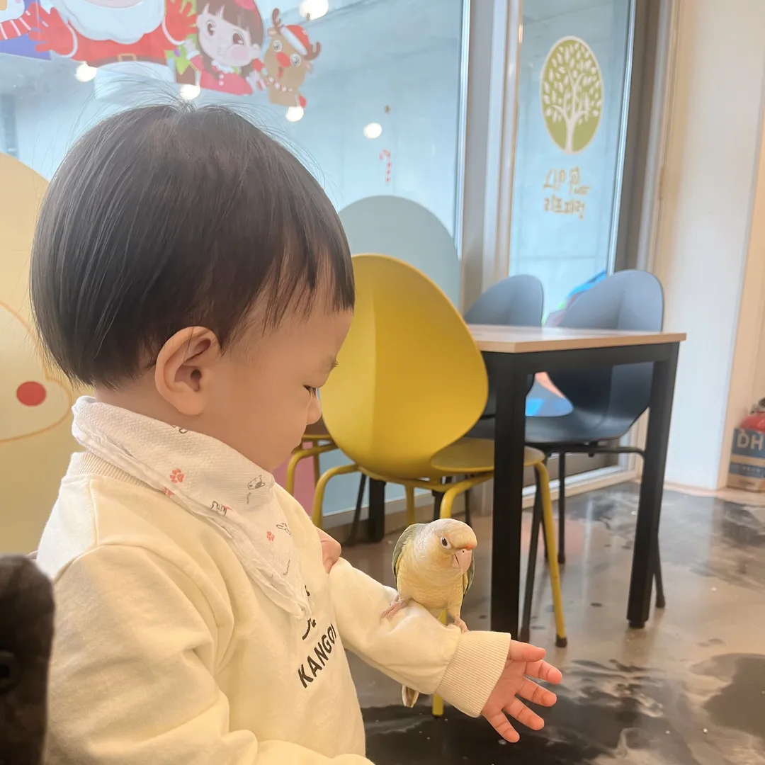 리프패럿 평택점 사진 14