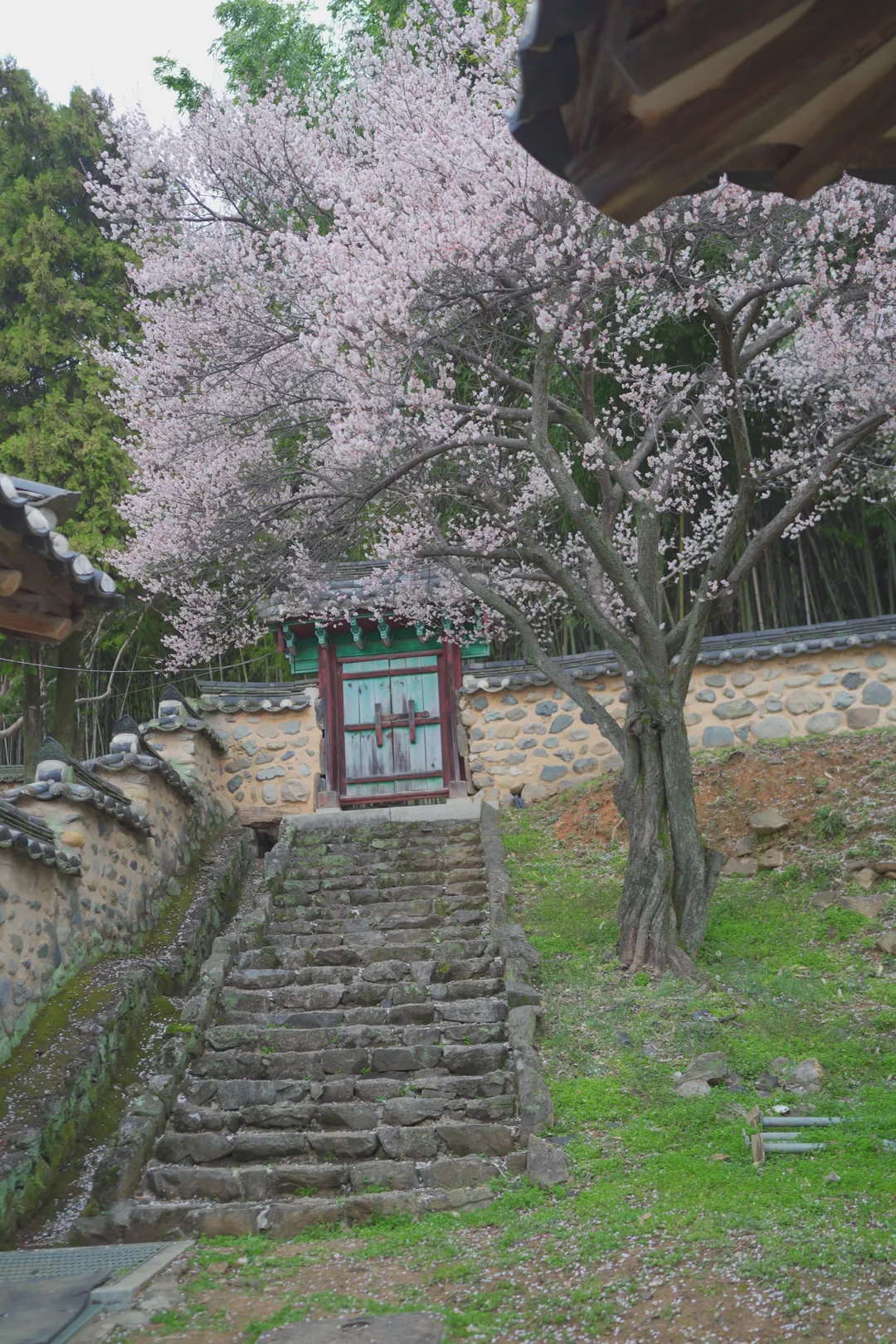 밀양향교 사진 10