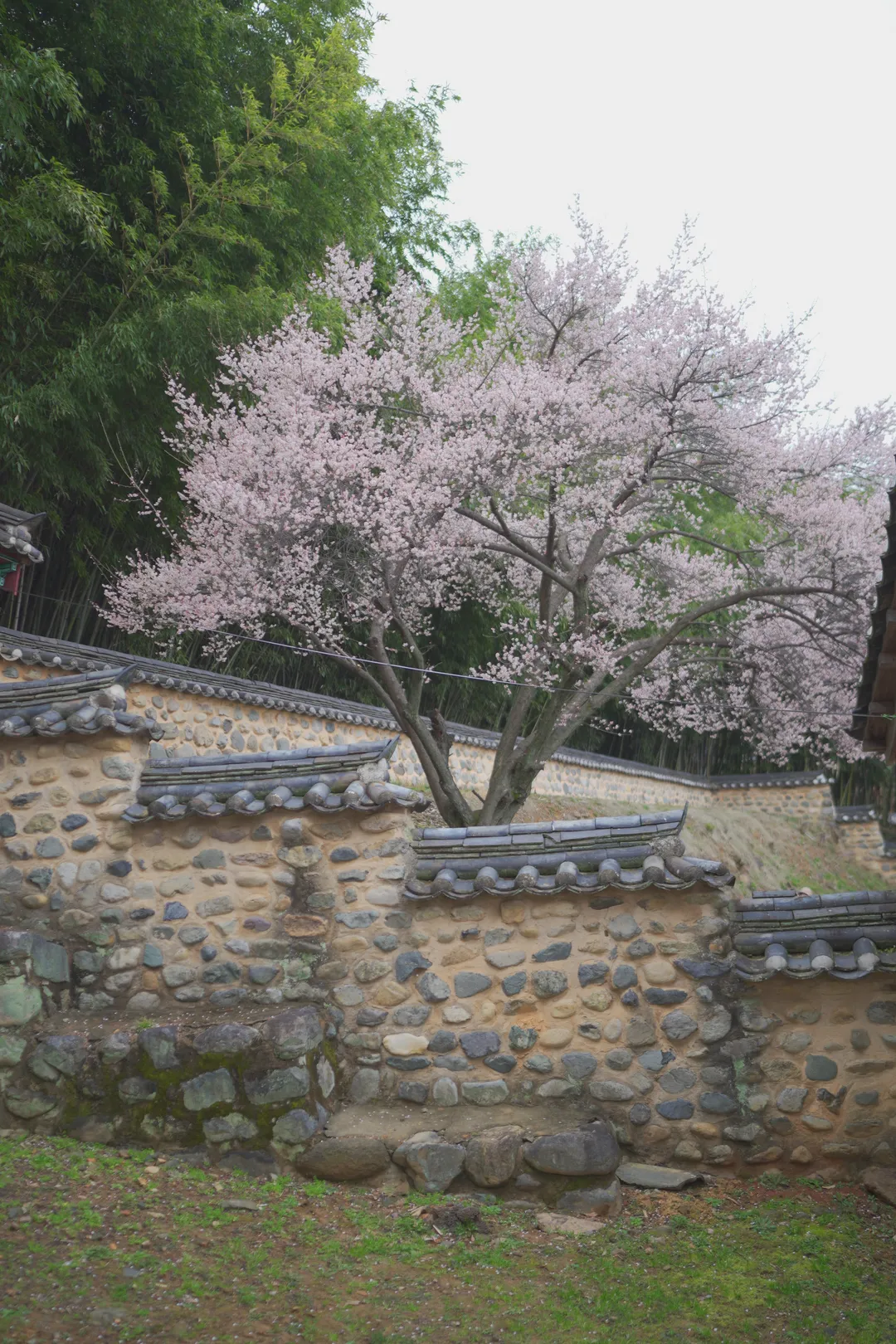 밀양향교 사진 11