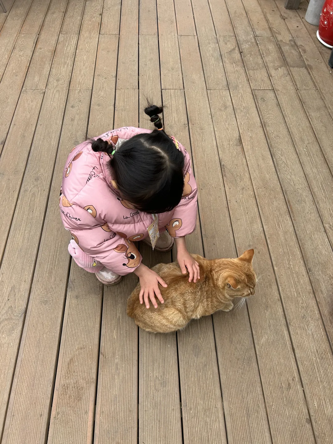 생생딸기체험농장