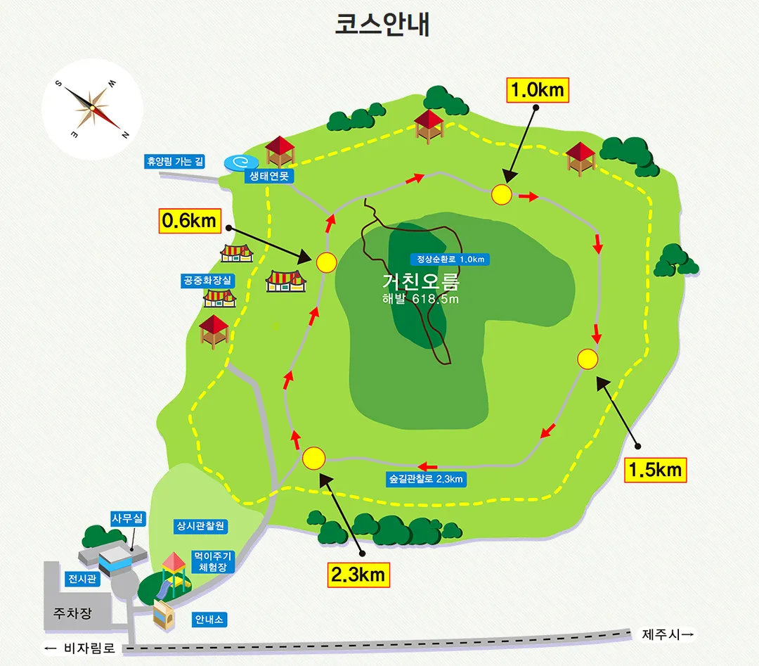 Roe Deer Ecological Observation Center photo 23